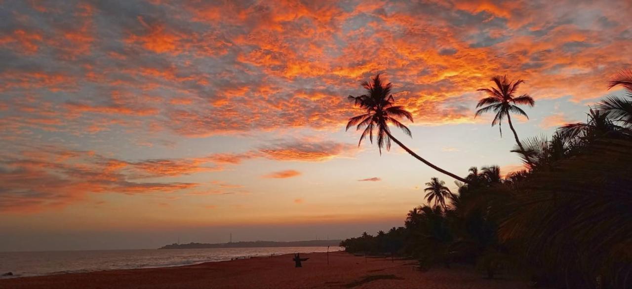 Eco Cabanas Marakolliya Tangalle Bagian luar foto
